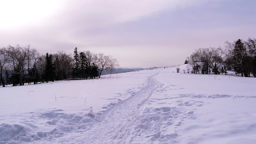 R1076273.JPG