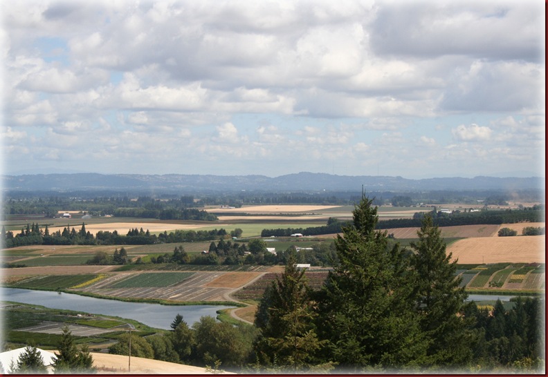 Blog Farm ViewIMG_2446