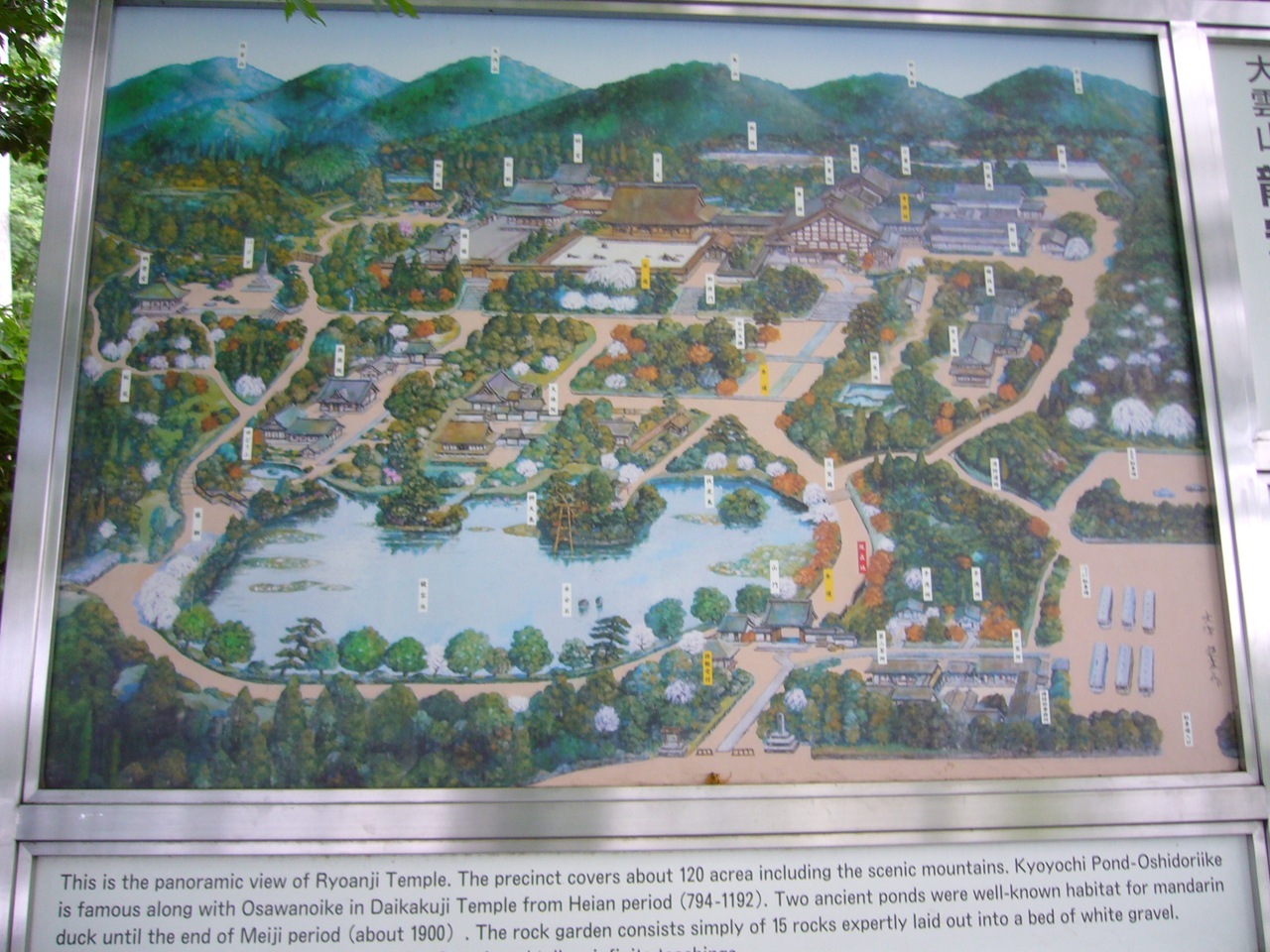 [P1020154[4].jpg]