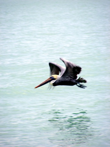 [december 2009 062[5].jpg]