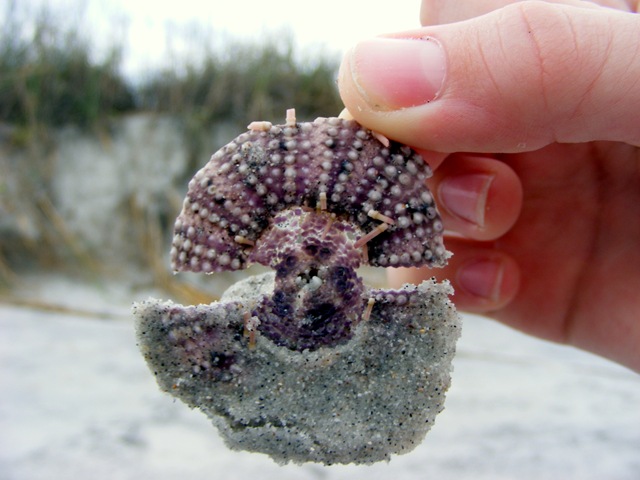 [december 2009 070[9].jpg]