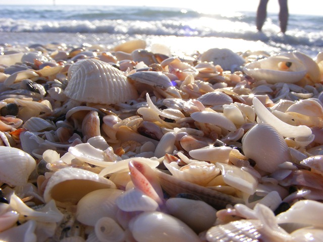 [december 2009 066[5].jpg]