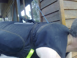 12012008043.jpg