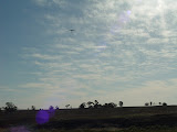 DSC07630.JPG