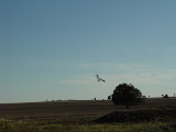 DSC07634.JPG