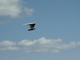 DSC07195.JPG
