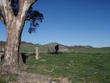 P9090117.JPG