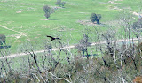 DSC07212.JPG