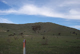 P9230145.JPG