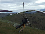 Picture 006.jpg