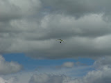 DSC07295.JPG