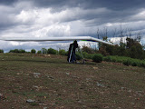 PB110220.JPG