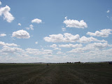PA120118.JPG