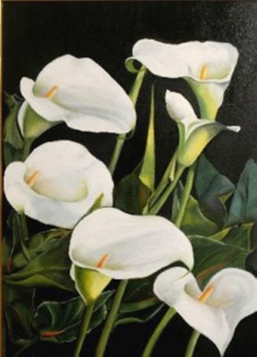 Flores+calas