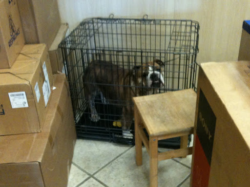 local Bulldog Postal shop
