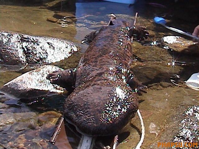 nature_07.jpg