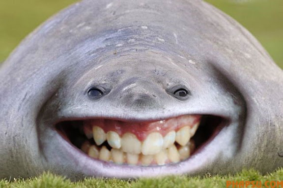 photoshop_07.jpg
