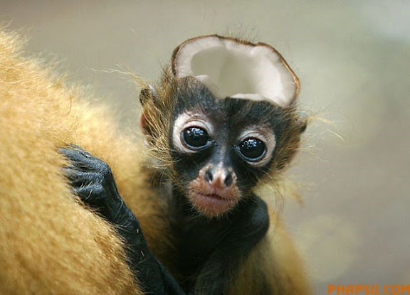 photoshop_14.jpg