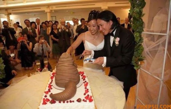 amusing_wedding_pictures_78.jpg
