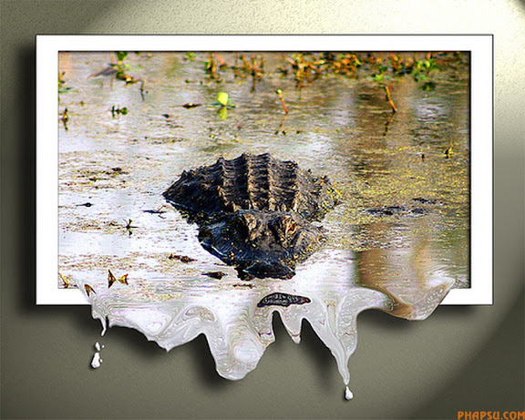 aligator.jpg