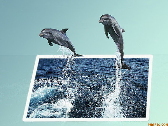 dolphin.jpg