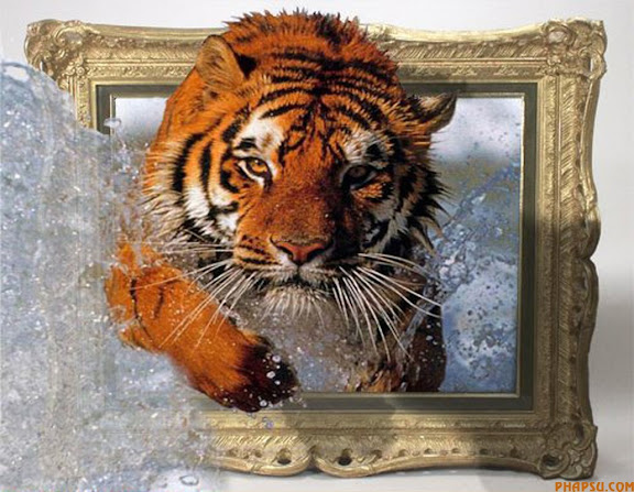 tiger.jpg