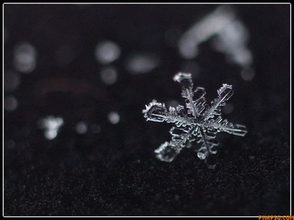  Những bông tuyết tuyệt đẹp 