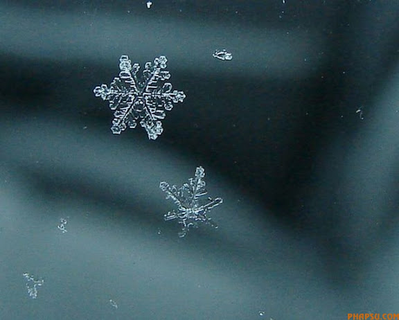  Những bông tuyết tuyệt đẹp 