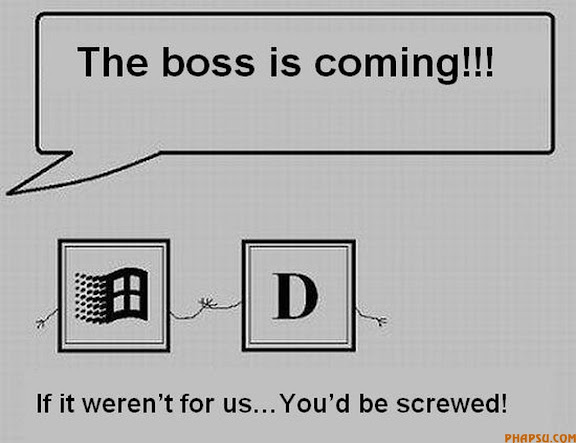  Hé lộ cuộc sống bí ẩn của Keyboard