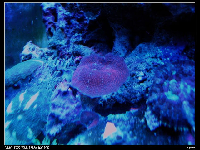 P1040293-1.jpg