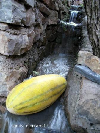 دربندسر-افطاری 