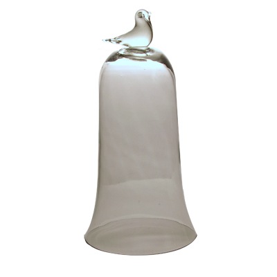 [birdbelljar[1][3].jpg]