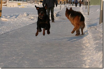 IMG_1771 IMG_1771