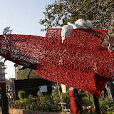 DSC00221.JPG