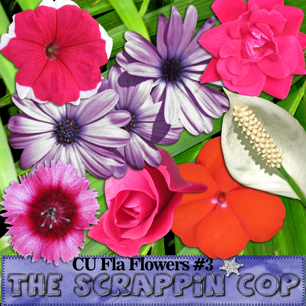 [SC_CUFloridaFlower3Prev[5].jpg]