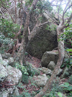 DSC04572.JPG