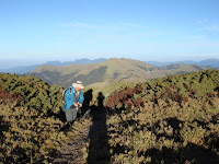 DSC08335.JPG