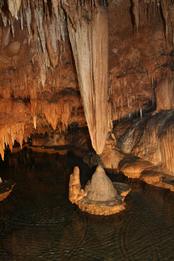 onondaga