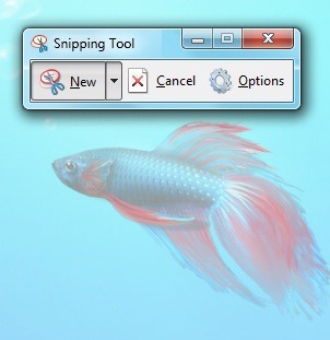 [snippingtool[4].jpg]