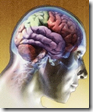 La mente y consciencia, funcionando en alguna parte del cerebro humano La mente y consciencia, funcionando en alguna parte del cerebro humano