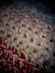 2009-12-15 01.20.42.jpg