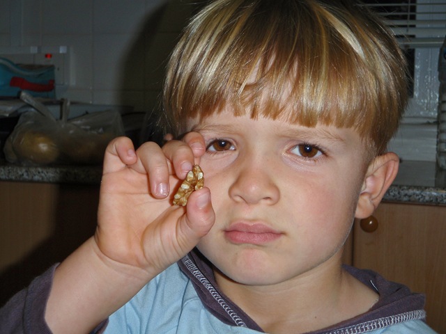 [20100109-walnuts[2].jpg]