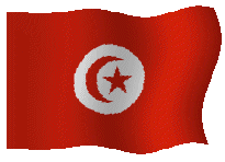 [tunisia[1][7].gif]