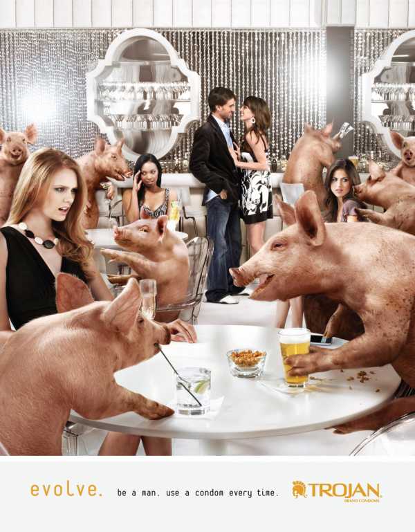 Bar with pigs
