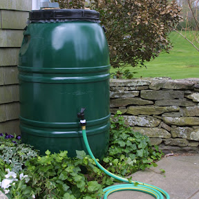 Rain barrel