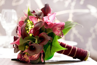 Flowers Violet flowers