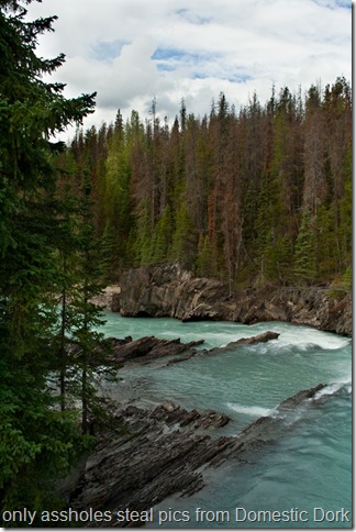 Yoho National Park 4x6-51