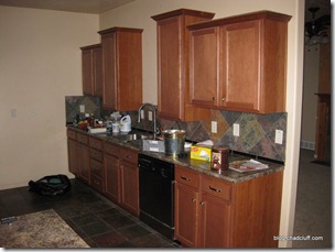 Possible New House 012