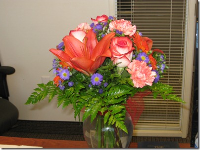 Brandon Univ Flowers 004
