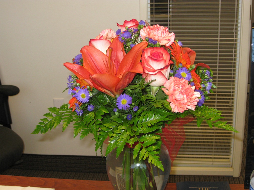[Brandon Univ Flowers 004[2].jpg]